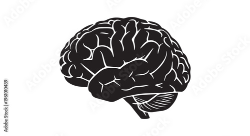 A black and white illustration of a human brain