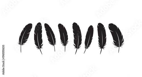 A row of black feathers on a white background