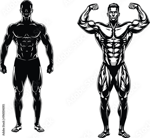 Bodybuilder silhouette illustration, muscular male fitness model posing front and flexing vector isolated for gym and bodybuilding design