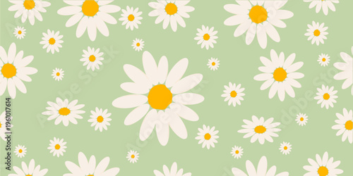 Seamless Background with graceful Daisy Flower Pattern,spring background