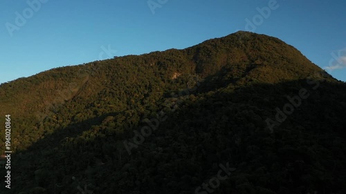 Aerial view of a dense tropical mountain forest at sunset with deep shadows and golden light on the canopy