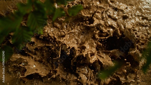 Freeze Motion Shot of Mud S...