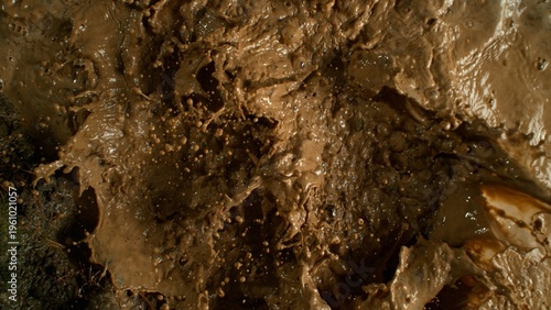 Freeze Motion Shot of Mud S...