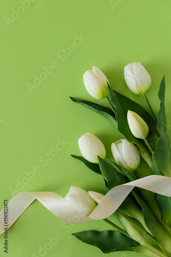 White Tulips with Ribbon on Green Spring Background