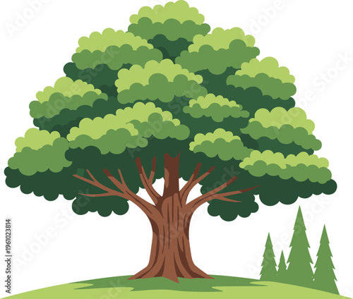 Tableau sur toile Cartoon illustration of large deciduous tree with thick trunk lush green foliage