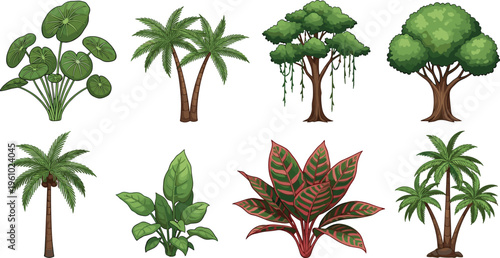 Collection of tropical and subtropical plants and trees illustration featuring palm trees broad leaves colorful foliage and lush greenery for botanical education landscape design and nature themes