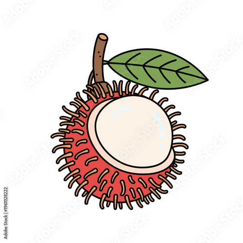 red hairy rambutan fruit with white pulp and green leaf.Isolated transparent background ( include cut-out PNG file )