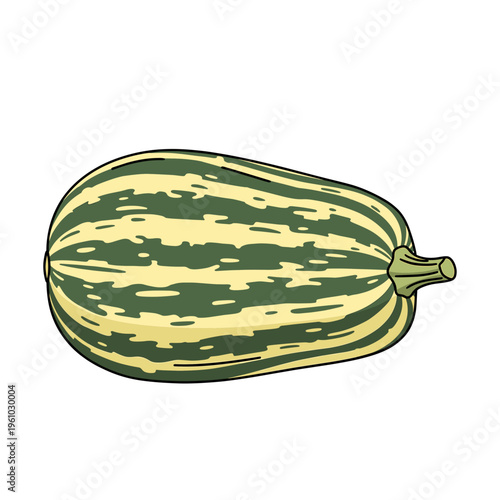 A striped delicata squash illustration with green and yellow patterns on the outer rind. Isolated transparent background ( include cut-out PNG file ).
