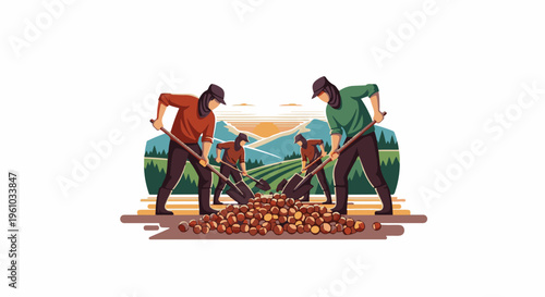 Farmers harvesting nuts in a field at sunset