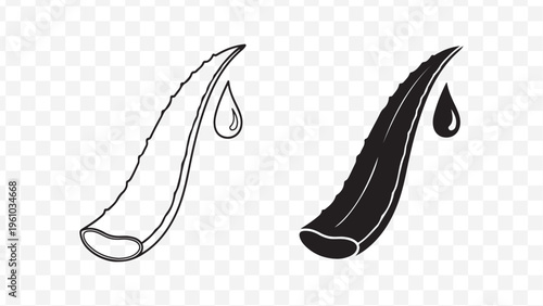 Modern minimalist aloe vera leaf icon set, dual style outline and solid, for food, summer, app, web, and branding use isolated on Transparent Background