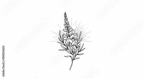 Line art illustration of a flowering plant with radiating lines