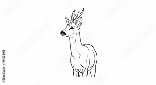 Elegant black and white outline drawing of a standing deer with antlers