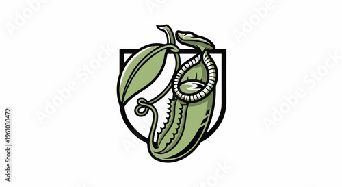 Illustration of a green pitcher plant with a leaf and tendril
