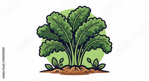 Illustration of lush green leafy vegetable plant growing from soil