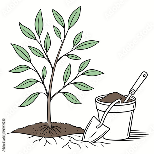 Planting a Tree shovel bucket soil