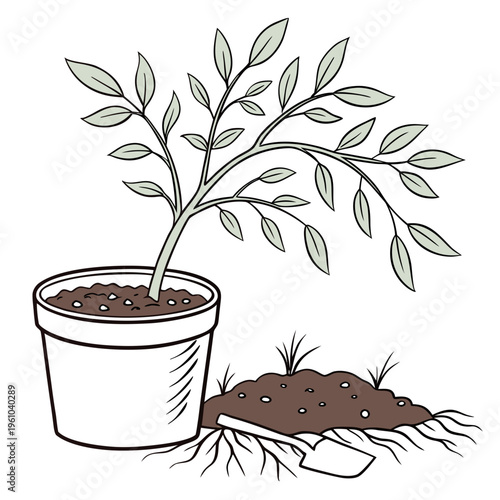 Potted Plant and Soil shovel gardening green