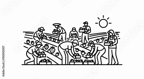 Agricultural workers harvest ripe strawberries under a bright sun