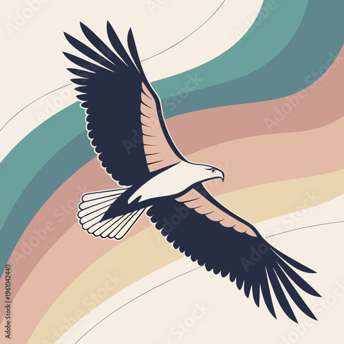 A bird of prey in flight with outstretched wings