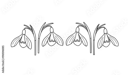 Minimal snowdrop flower line art vector elegant black white floral outline isolated design