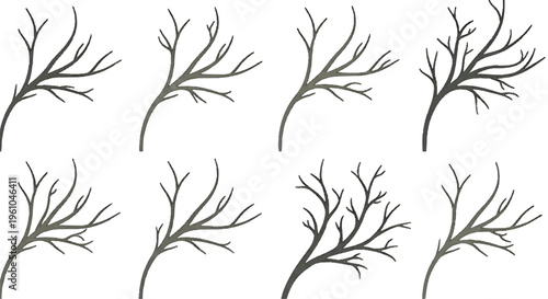 Seven dark tree branches displayed in minimalist composition on white backdrop illustration