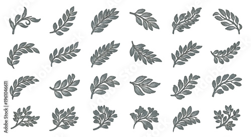 Set of twenty dark gray leaf illustrations arranged in four neat rows for design use
