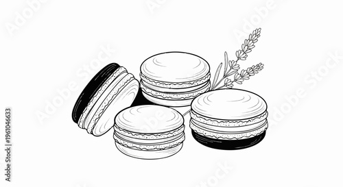 Hand-drawn illustration of assorted macarons with a sprig of lavender