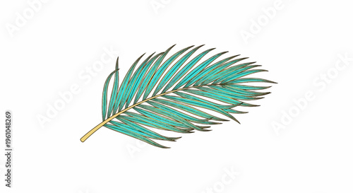 Single teal and gold palm frond isolated on white background