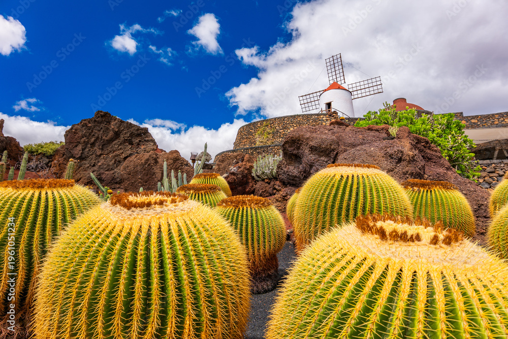 Obraz premium Jardin Cactus Garden, Lanzarote, Canary Islands, Spain