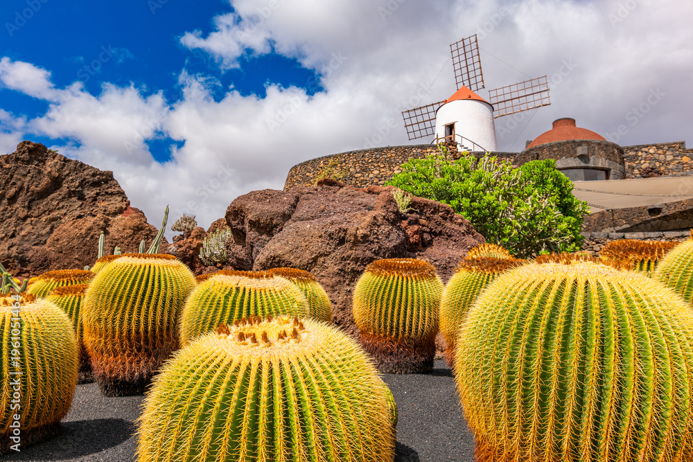 Obraz premium Jardin Cactus Garden, Lanzarote, Canary Islands, Spain