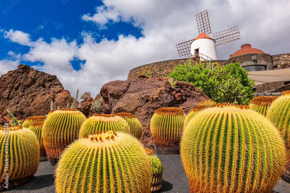 Obraz premium Jardin Cactus Garden, Lanzarote, Canary Islands, Spain