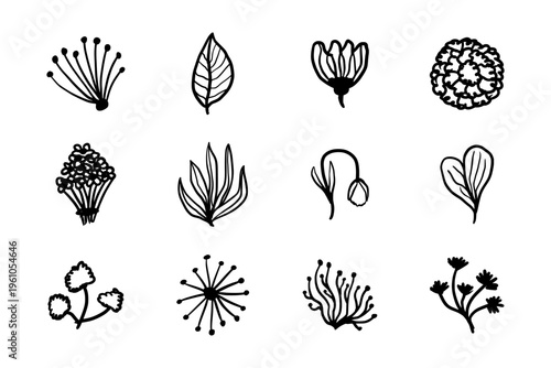 Hand drawn botanical floral elements with leaves and flowers in minimalist doodle style. Organic nature illustration set for branding, packaging, and textile design.