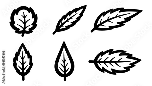 Set of black leaf icons and botanical symbols for eco-friendly branding and nature design projects