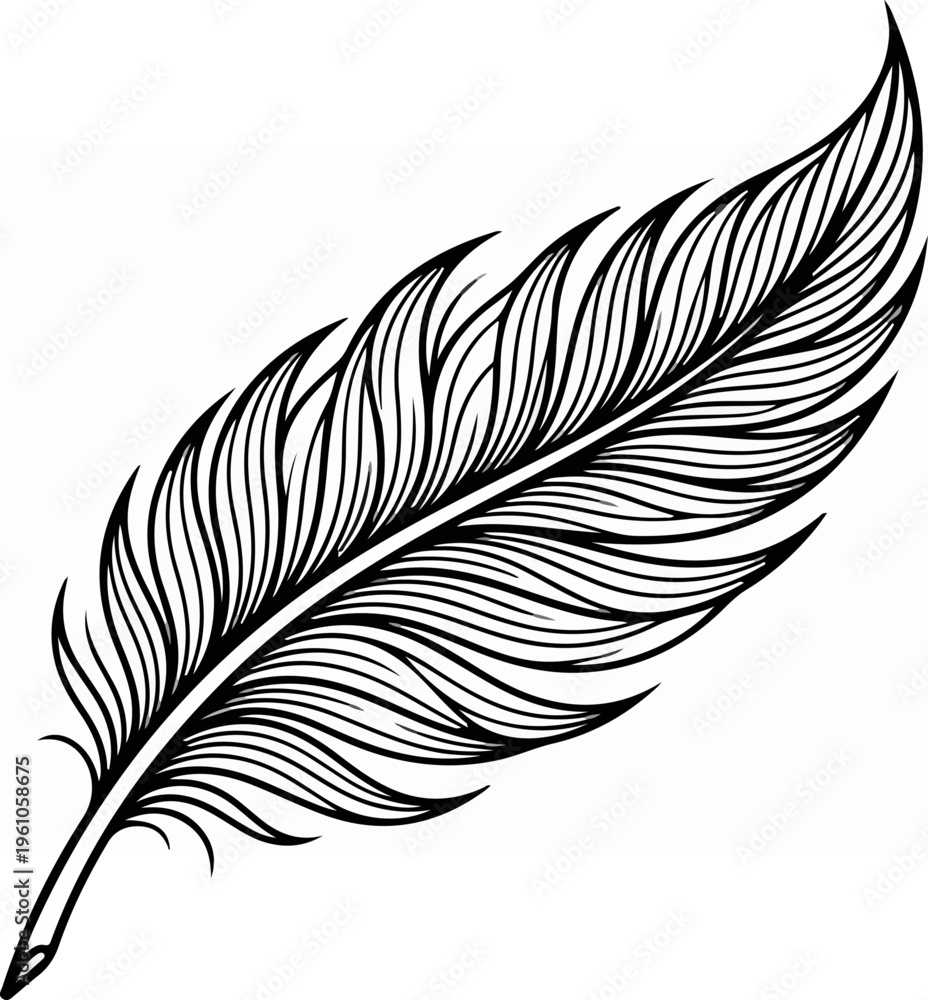 Obraz premium Detailed black and white illustration of a single feather on white background.