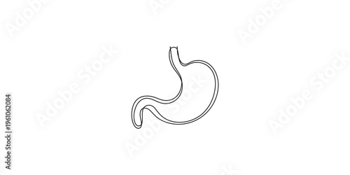 Human stomach anatomy illustration in simple line art style on white background digestive system organ