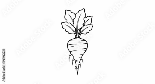 Minimalist line drawing of a beet with leafy greens