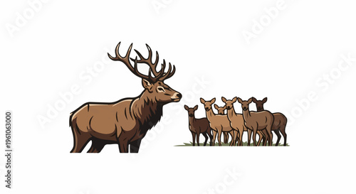 Majestic stag surveys a small herd of deer grazing on grass