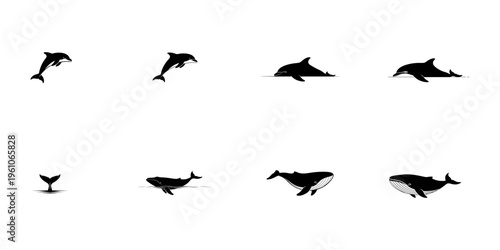 Collection of black silhouette of dolphins and whales in various poses on a white background