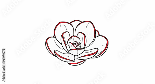 Minimalist drawing of a white succulent with red outlines