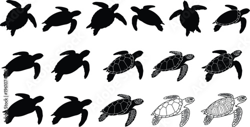 Sea turtle silhouette and outline icon set featuring swimming marine animals black shapes and detailed line illustrations collection