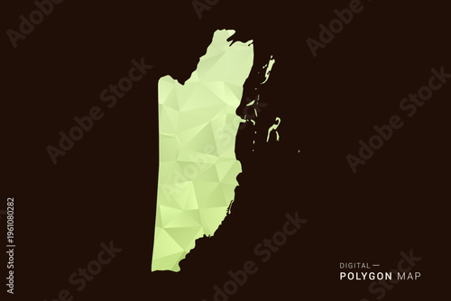 Belize Map - Low poly polygon map in soft light green gradient on dark brown background, modern minimal geometric style, clean abstract vector illustration design.