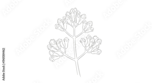 Detailed drawing of a plant stem.