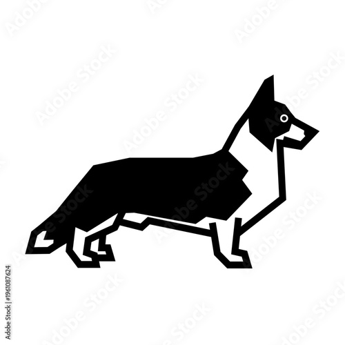 Cardigan Welsh Corgi