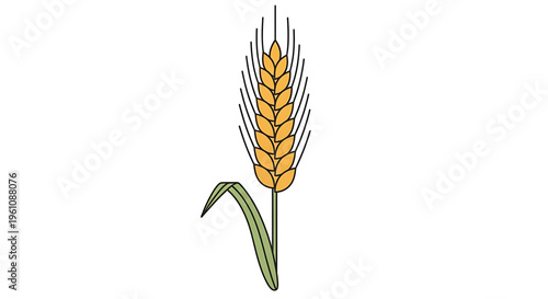 A minimalist vector illustration of a wheat stalk with a green stem and yellow grains