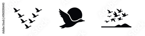 Set of black silhouettes of ducks in flight, featuring a V-formation, a single bird with a sun, and a flock over a horizon, on a white background.