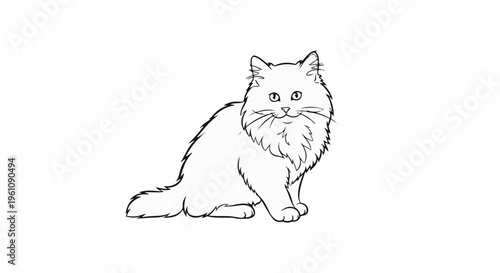 Sketch of a fluffy cat sitting and looking forward with bright eyes