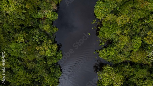 High-resolution aerial view of the Amazon rainforest near Iquitos, with its dense tropical vegetation, vibrant green, and a river that runs through the lush Amazon landscape