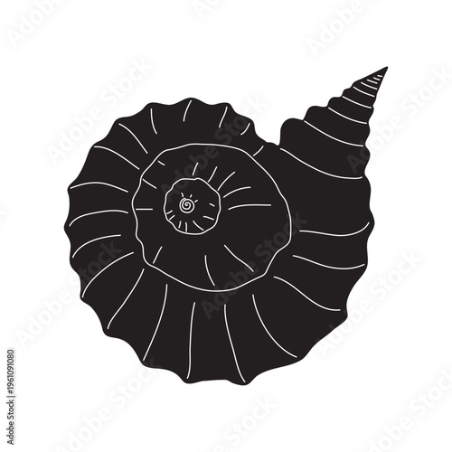 Beautiful black seashell silhouette isolated on white background for icons, webs, stickers