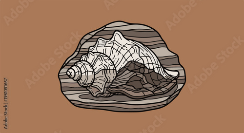 Stylized drawing of a seashell with intricate line work and a gradient background