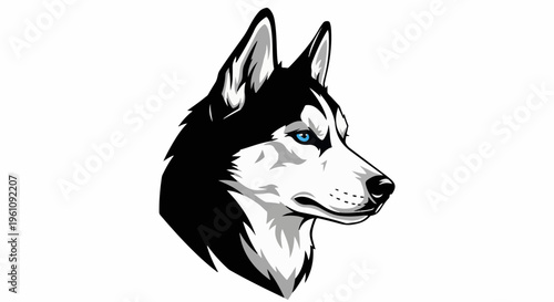 Striking black and white wolf-like dog head with piercing blue eyes