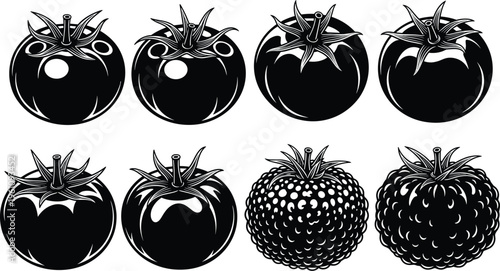 Tomato and raspberry silhouettes collection with detailed fruit shapes, fresh food illustration isolated on white background for agriculture and nutrition design